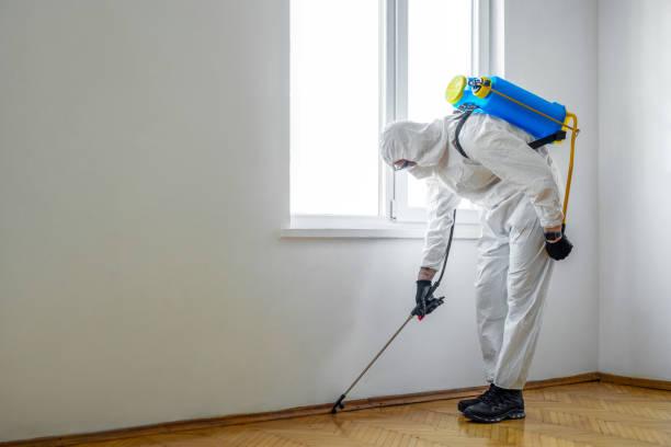 Best Rat Extermination Near Me  in Lynchburg, OH