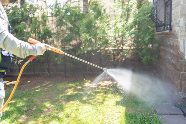 Best Flea Control Services  in Lynchburg, OH