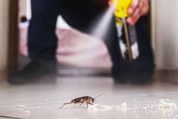 Lynchburg, OH Pest Control Company